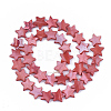 Freshwater Shell Beads Strands SHEL-S276-31D-2