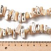 Dyed Natural Trochus Shell Beads Strands SSHEL-C013-09K-4