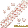   2 Strands Electroplated Shell Pearl Beads Strands BSHE-PH0001-32A-2
