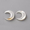 Natural White Shell Beads LS-SSHEL-Q311-004B-01-1