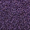 MIYUKI Round Rocailles Beads X-SEED-G007-RR1884-4