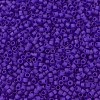 MIYUKI Delica Beads SEED-JP0008-DB0748-3