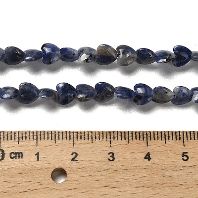 Natural Sodalite Beads Strands G-P575-C15-6mm-1