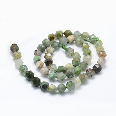 Natural Chrysoprase Beads Strands G-F523-34-8mm-1