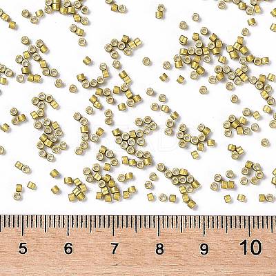 MIYUKI Delica Beads X-SEED-J020-DB1164-1