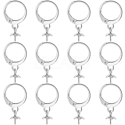40Pcs 304 Stainless Steel Leverback Earring Findings STAS-SC0006-49-1