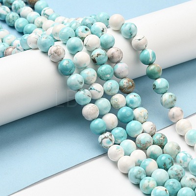 Natural Magnesite Beads Strands G-L555-02C-02-1