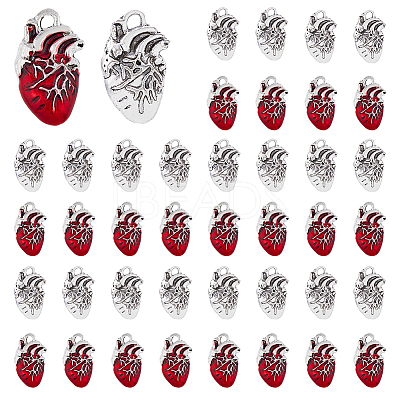 60Pcs 2 Style Tibetan Style Alloy Pendants FIND-DC0003-50-1