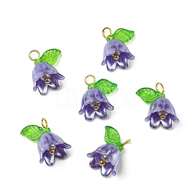 Acrylic Pendants LS-OACR-D012-01B-1