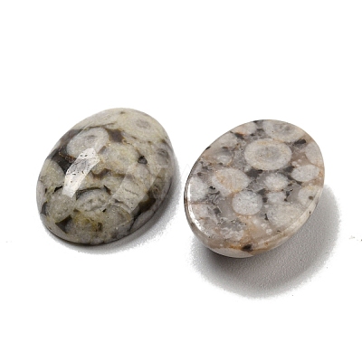 Natural Maifanite Cabochons G-C115-01A-30-1