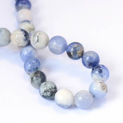 Natural Sodalite Round Bead Strands X-G-E334-8mm-08-1