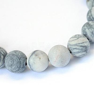 Frosted Natural Black Silk Stone/Netstone Round Bead Strands G-E334-6mm-25-1