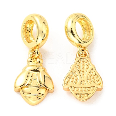 Brass European Dangle Charms KK-M247-01G-1
