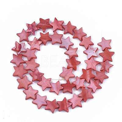 Freshwater Shell Beads Strands SHEL-S276-31D-1