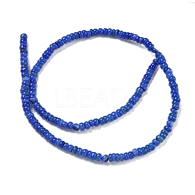 Dyed Natural Freshwater Shell Beads Strands X1-BSHE-G039-07J-1