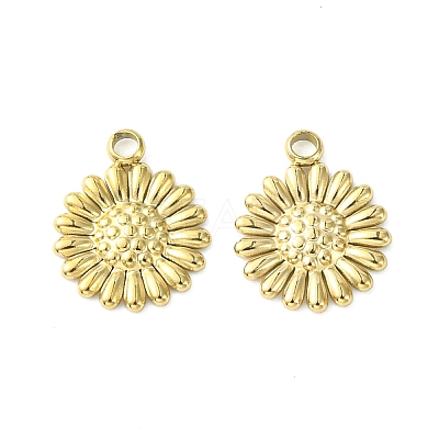 304 Stainless Steel Charms STAS-L269-062G-1