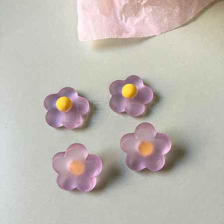 Resin Frosted Cabochons RESI-TAC0001-05C-1