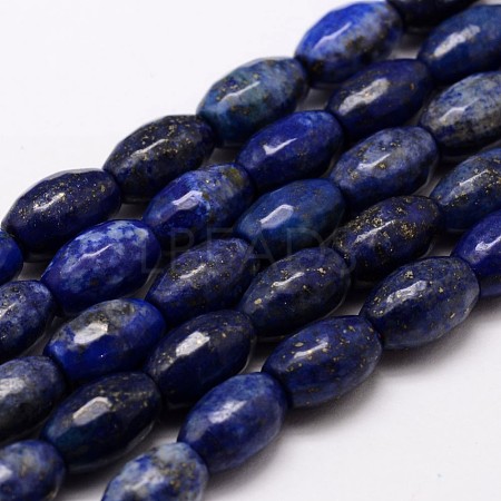 Nature Lapis Lazuli Beads Strands X-G-G878A-A25-1