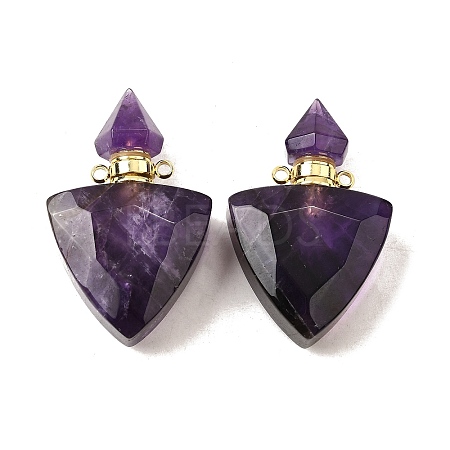 Natural Amethyst Perfume Bottle Pendants G-L623-10G-02-1