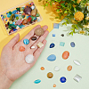 168Pcs 24 Style Cat Eye Cabochons CE-PH0001-05-3