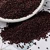 MIYUKI Round Rocailles Beads SEED-X0056-RR0419-1