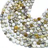 Natural White African Opal Beads Strands G-K389-B23-01-2