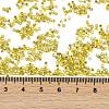 Baking Paint Silver Lined Glass Seed Beads SEED-H003-09E-4