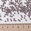 MIYUKI Round Rocailles Beads X-SEED-G008-RR0437-4