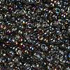 Iris Glass Seed Beads SEED-Z001-C-D04-3