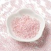 8/0 Glass Seed Beads SEED-Z001-C-E04-2