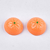 Resin Cabochons CRES-S304-096-1