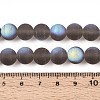 Frosted Transparent Glass Beads Strands GLAA-T032-T10mm-MBB02-4