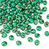 Picasso Glass Seed Beads SEED-TADJ0001-05F-1