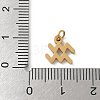 304 Stainless Steel Charms STAS-R001-04G-11-3