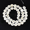 Natural Freshwater Shell Beads SHEL-S276-168Q-2