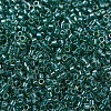 MIYUKI Delica Beads SEED-J020-DB0919-3