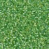 MIYUKI Delica Beads X-SEED-J020-DB2376-3