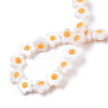 Natural White Shell Beads Strands SHEL-N003-30-4