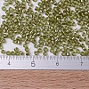 MIYUKI Delica Beads X-SEED-J020-DB0908-4