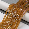 Transparent Glass Beads Strands EGLA-A044-T4mm-MB02-2