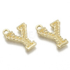 Alloy Pendants LS-PALLOY-N157-002Y-NR-2