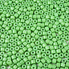 Opaque Baking Paint Glass Seed Beads SEED-T008-02Q-3