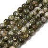 Natural Green Lepidolite Beads Strands G-K350-B01-6mm-2