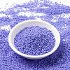 MIYUKI Round Rocailles Beads SEED-X0056-RR0417L-2
