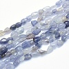 Natural Iolite Beads Strands G-G765-53-1