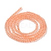 Transparent Glass Beads Strands GLAA-H021-03-03-4