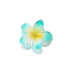 Plastic Claw Hair Clips LS-PW-WG07B2B-12-1