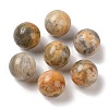 Natural Crazy Agate No Hole Sphere Beads G-K353-04D-34-1