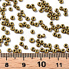 12/0 Glass Seed Beads SEED-S060-A-F216-5