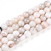 Natural Persian Jade Beads Strands G-A255-A02-01K-4